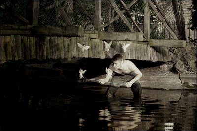 Catching Fairies 4 by Mat Collishaw