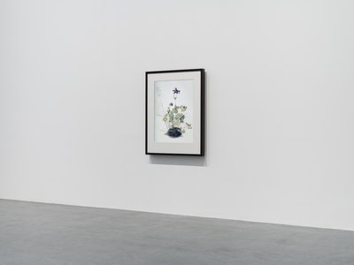 Columbine by Mat Collishaw