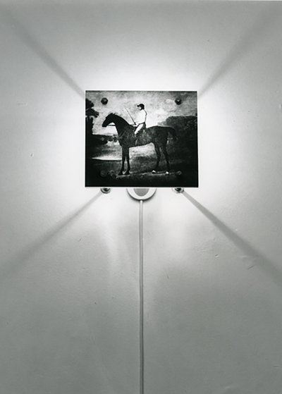 Stubbs Horses by Mat Collishaw
