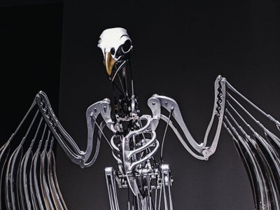 The Nerve Rack by Mat Collishaw