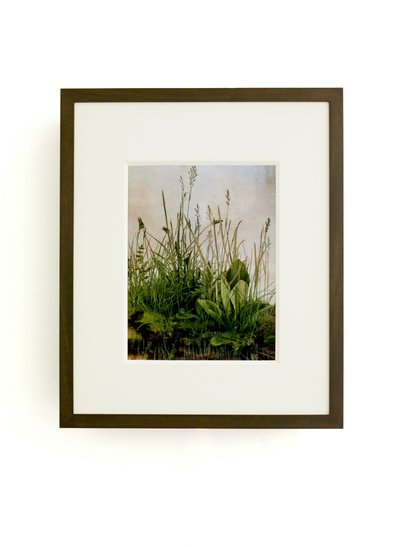 Whispering Weeds by Mat Collishaw