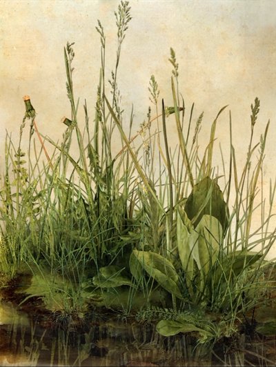 Whispering Weeds, 2011 by Mat Collishaw