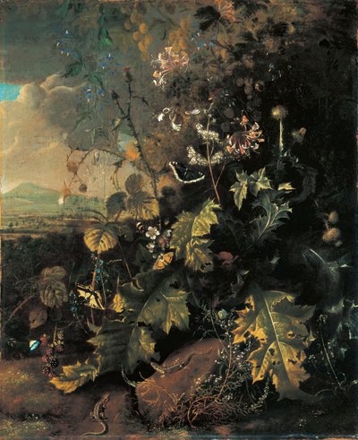 Forest Floor with Butterflies and Lizards by Matthias Withoos