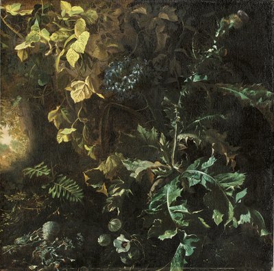 Thistles and Other Plants on a Forest Floor, a Landscape Beyond (Fragment) by Matthias Withoos