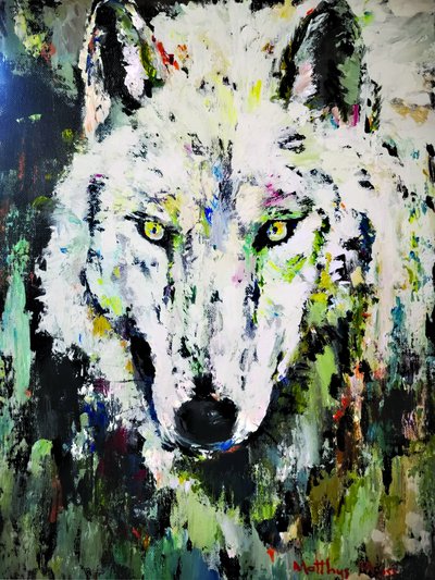 White Wolf Gaze by Matthys Moss