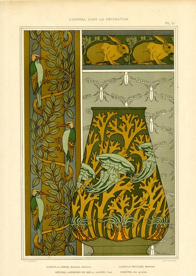Art Nouveau Nature Motifs: Birds, Marine Life and Insects by Maurice Pillard Verneuil