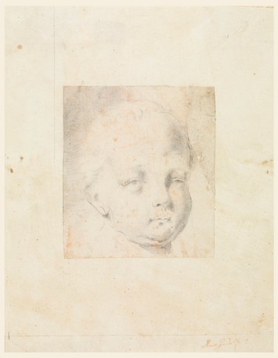 Study: Head of a Boy by Mauro Gandolfi