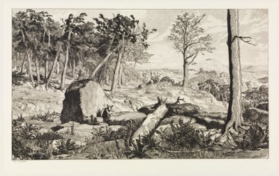 Simplicius in the Forest Wilderness (Intermezzi, Opus IV, Plate 10) by Max Klinger