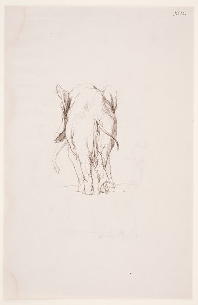 "Path of Defilement" - "Elephant and Sniffing Dog" by Max Klinger