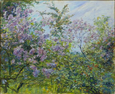 Blossoming Lilac by Max Slevogt