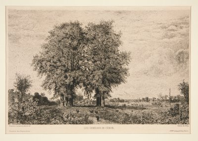 The Elms of Cénon by Maxime Lalanne