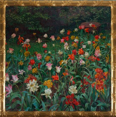 Tulips by Maximilian Lenz