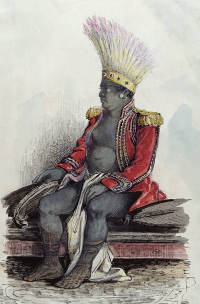 King Temoana on the Island of Nuka-Hiva Dressed in the Uniform of a French Colonel by Maximilien Radiguet