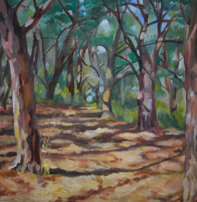 Dappled Forest Path by Maxine Shore