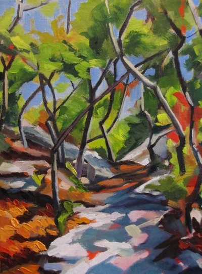 Sunlit Woodland Walk by Maxine Shore