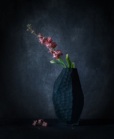 Dark Floral Elegance by May G