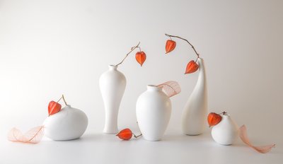 Orange Physalis Still Life by May G