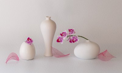 Pink Orchids Still Life by May G