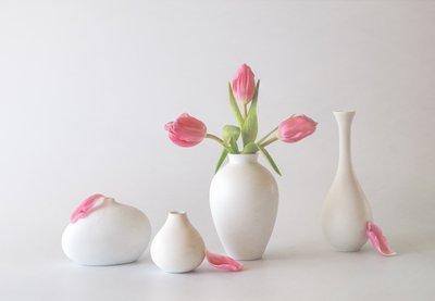 Pink Tulips in Vases by May G
