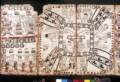 Maya Civilization: Codex Tro-Cortesiano by Mayan Mayan