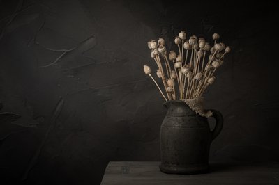 Dark Poppy Pod Still Life by Mayra Pama