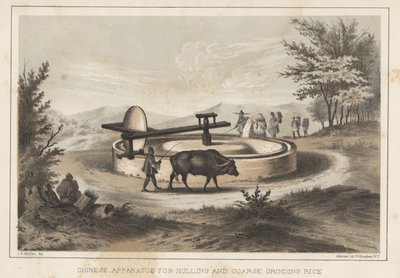 Chinese Apparatus for Hulling and Coarse Grinding Rice, 1855 by Meffert
