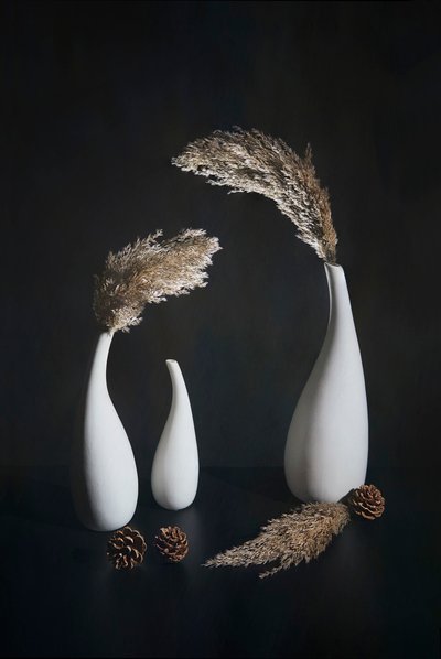 Minimalist Pampas Arrangement by Mei Su