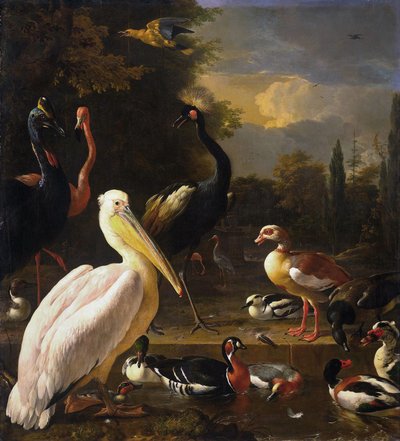 A Pelican and Other Birds Near a Pool, Known as 