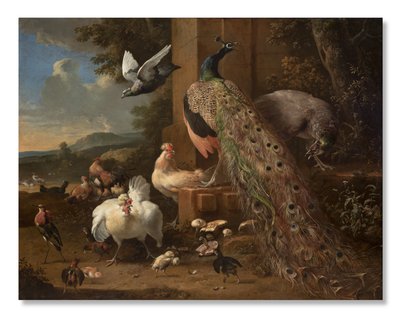 exclusive Hondecoeter art Melchior de online Buy fine prints •