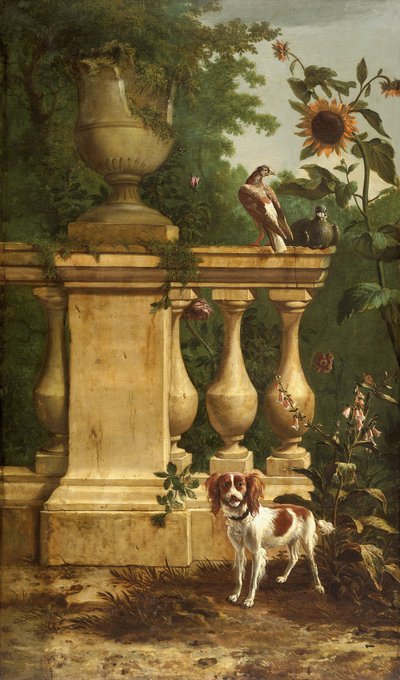 Pigeons and a Dog in a Garden by Melchior de Hondecoeter