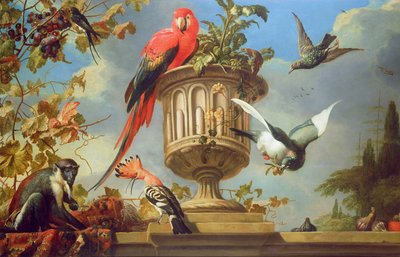 Scarlet Macaw Perched on an Urn, with Other Birds and a Monkey Eating Grapes by Melchior de Hondecoeter