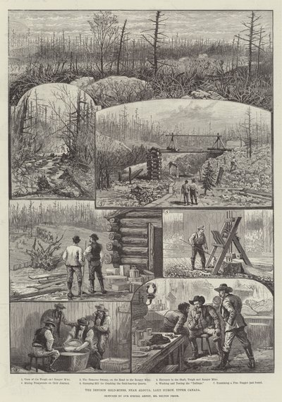 The Denison Gold-Mines, near Algoma, Lake Huron, Upper Canada by Melton Prior