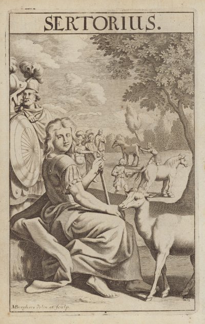 Quintus Sertorius, Roman Statesman and General by Michael Burghers