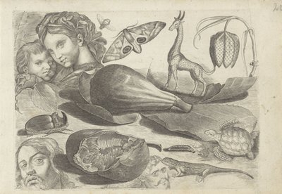 Study Sheet with Drawing Examples: Heads, Animals, and Fruits from Drawing Examples by Michael Snijders