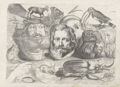 Study Sheet with Drawing Examples: Portraits, Animals, Insects by Michael Snijders