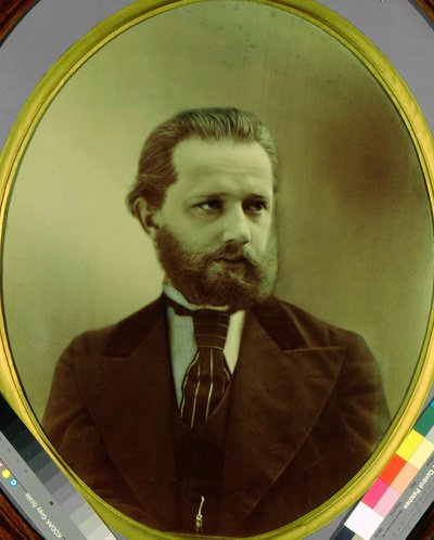 Portrait of Composer Pyotr Tchaikovsky by Michail Michailovich Panov