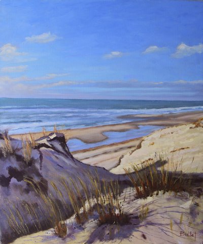 The Atlantic Coast Dunes by Michel Bultet
