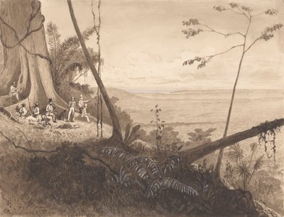 Cedar Point, Mount Tamana by Michel Jean Cazabon