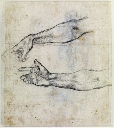 Arm (detail) by Michelangelo Buonarroti