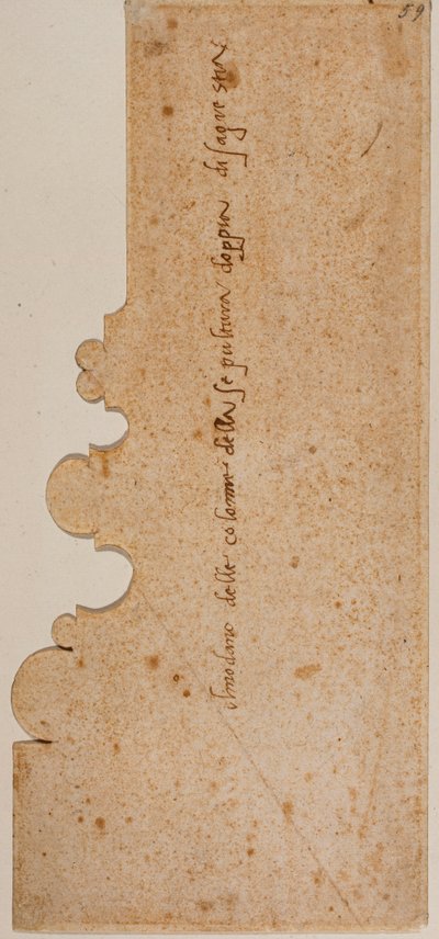 Base profile of column for the New Sacristy by Michelangelo Buonarroti
