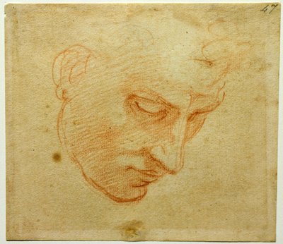Head Study to the Sistine Chapel ceiling, c. 1509-1510 by Michelangelo Buonarroti