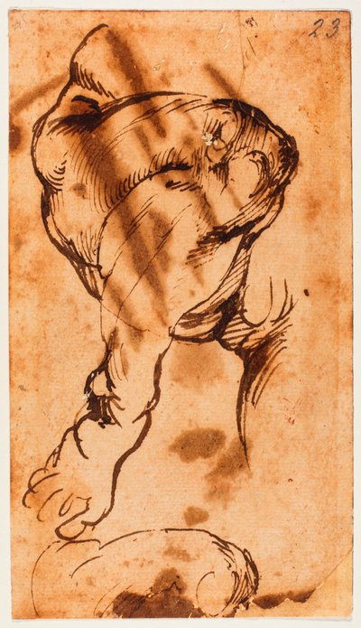 Leg Study for the Child in the Doni Tondo by Michelangelo Buonarroti