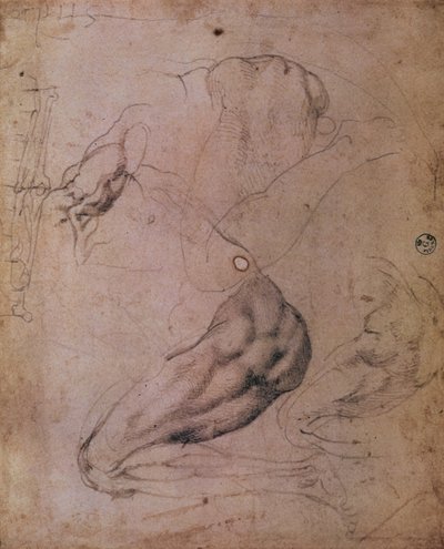 Sistine Chapel Ceiling (1508-12): Sketches of the Figure of Eve from the Scene of The Original Sin by Michelangelo Buonarroti