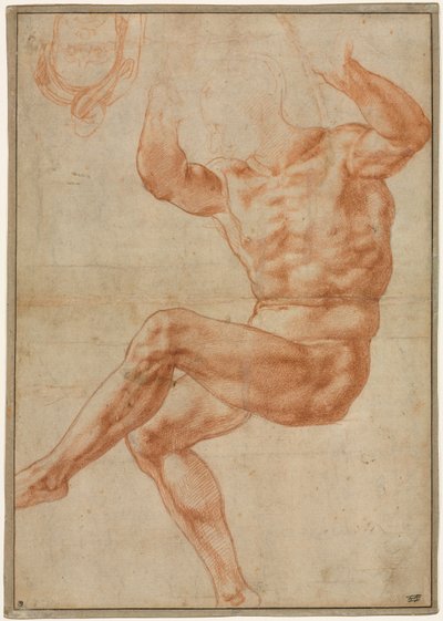 Study for the Nude Youth over the Prophet Daniel (detail) by Michelangelo Buonarroti
