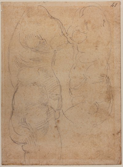 Two Studies of an Ancient Venus by Michelangelo Buonarroti