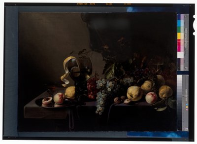 Still Life with Fruits and Grapes by Michiel Simons