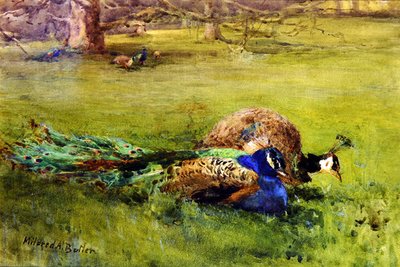 Peacocks by Mildred Anne Butler