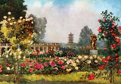 The Orangery, Laeken by Mima Nixon