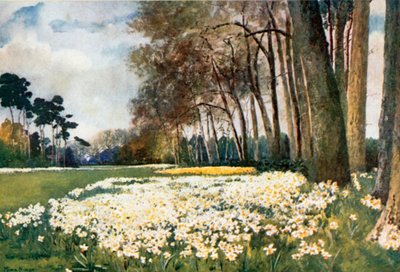 The Park, Sandringham by Mima Nixon