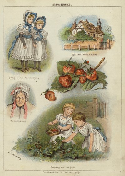 Strawberries by Miss Eliza F. Manning